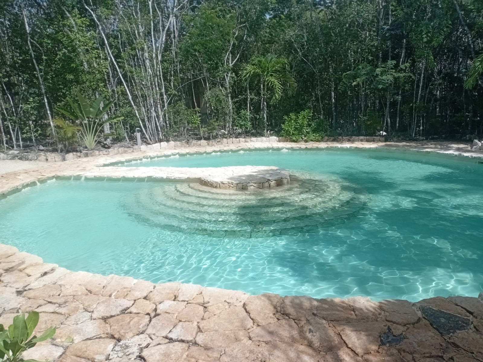 Alberca estilo cenote de Beecheii rodeada de selva
