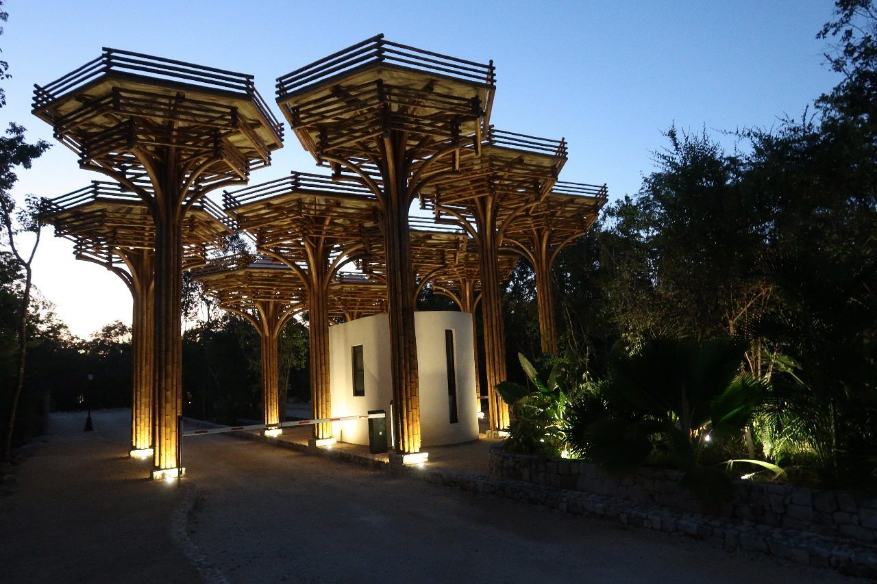 Acceso de Beecheii con estructuras de madera iluminadas al atardecer